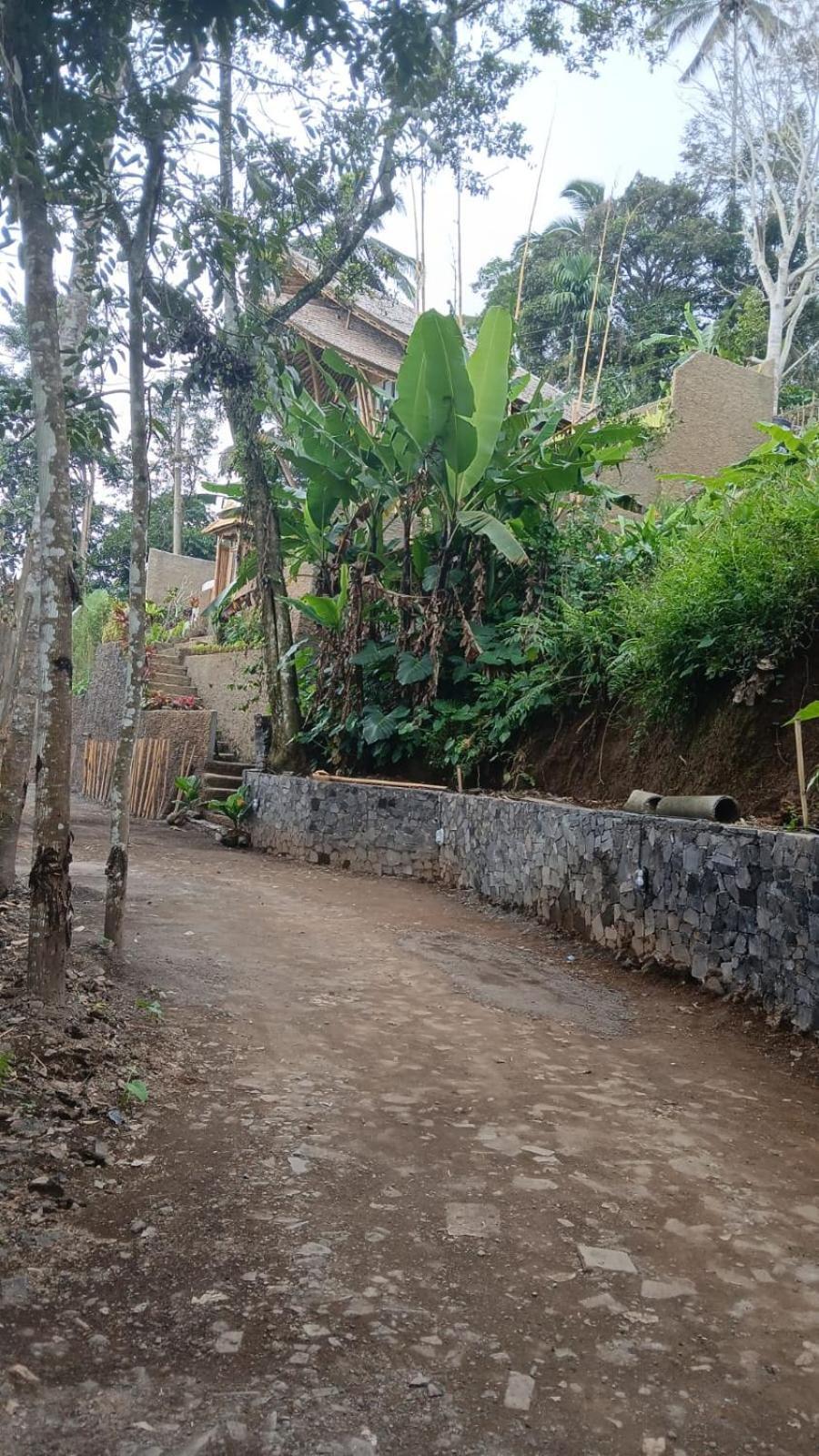 Villa Danaswari Bali Bamboo House Selat Exterior foto